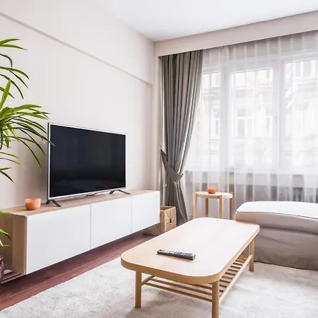 Centrally Located Modern And Cozy Flat In Sisli 아파트 *